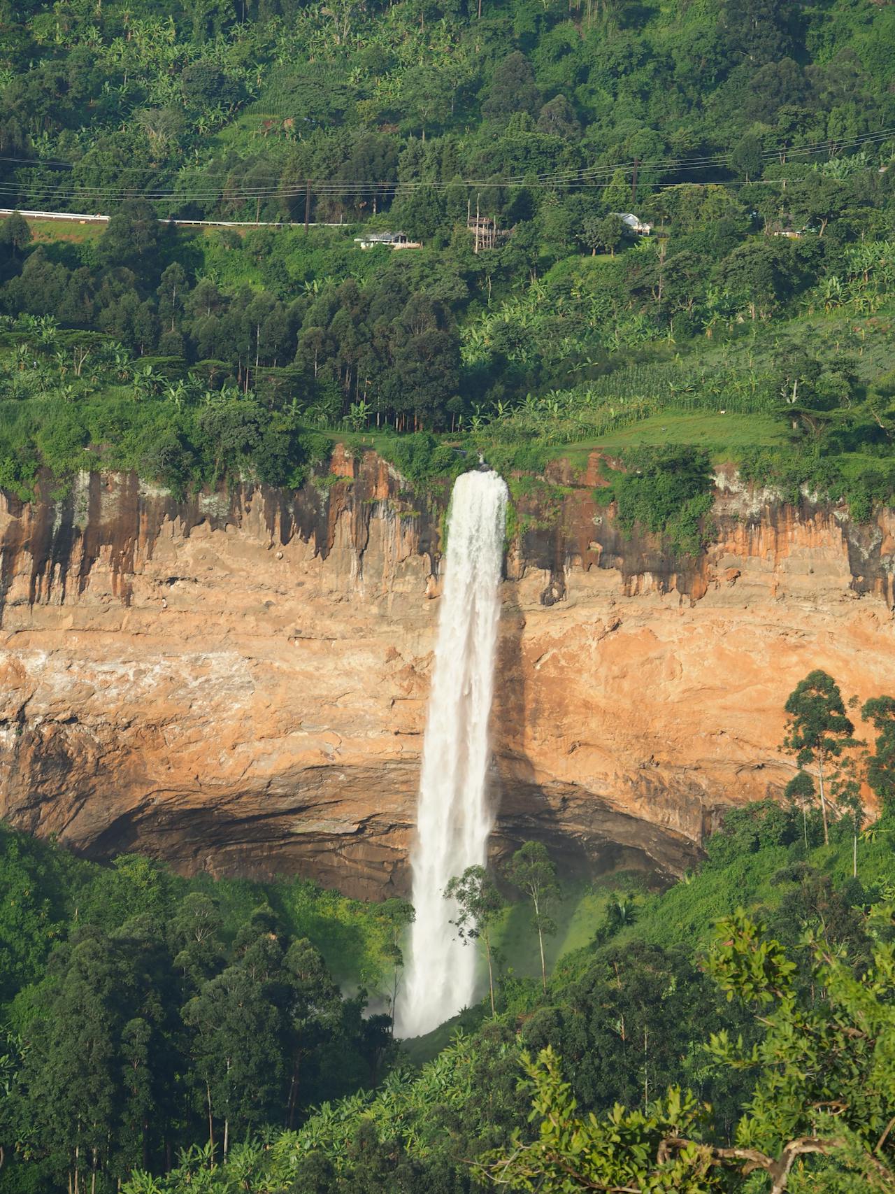 Bwindi National Park