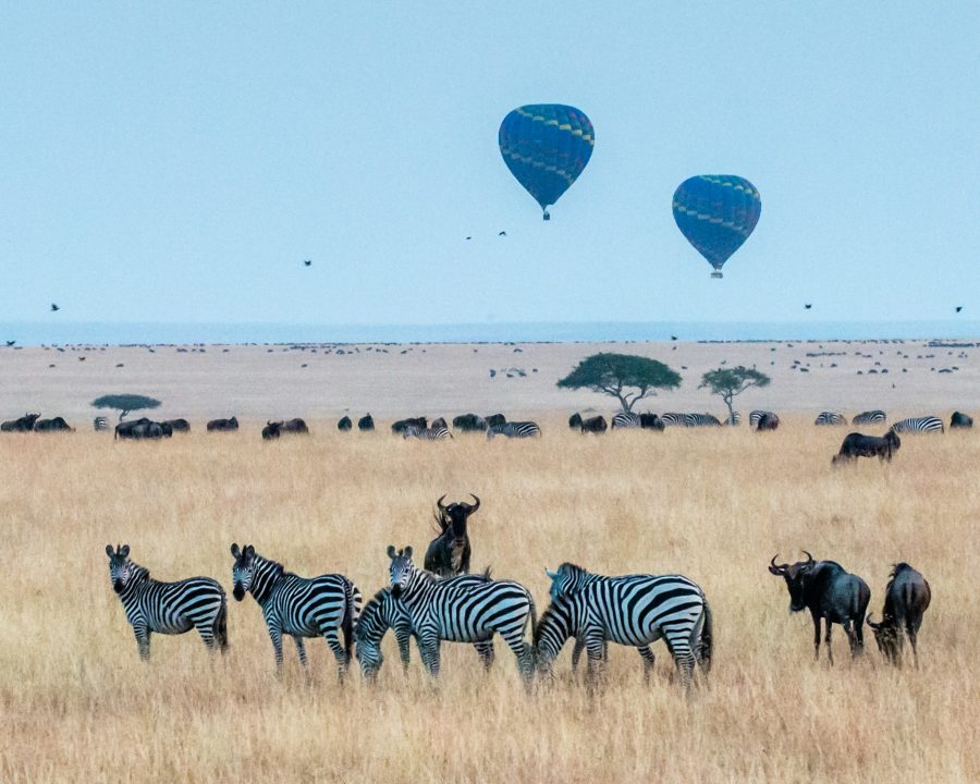 Main Tourist Attractions in East Africa